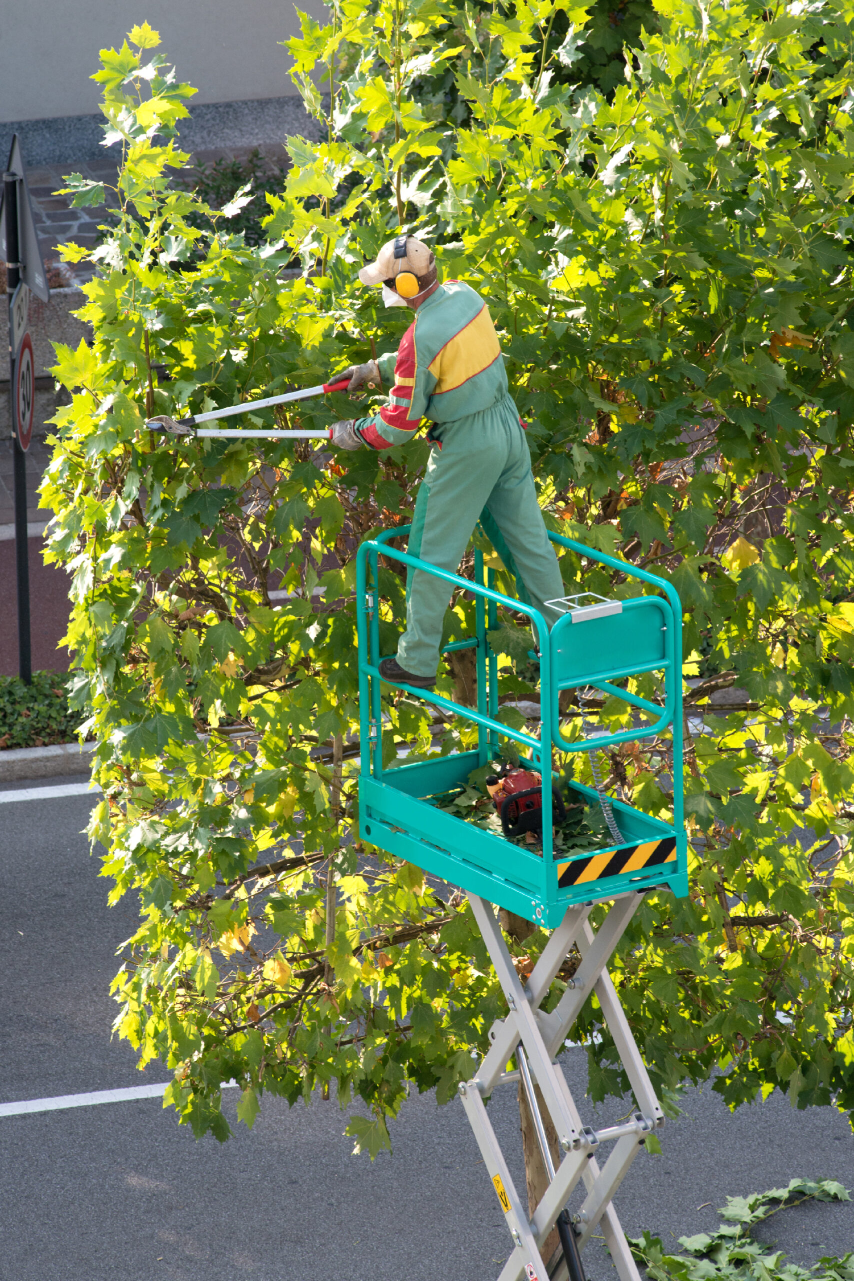 Tree Trimming Services in Fairway, KS 66205