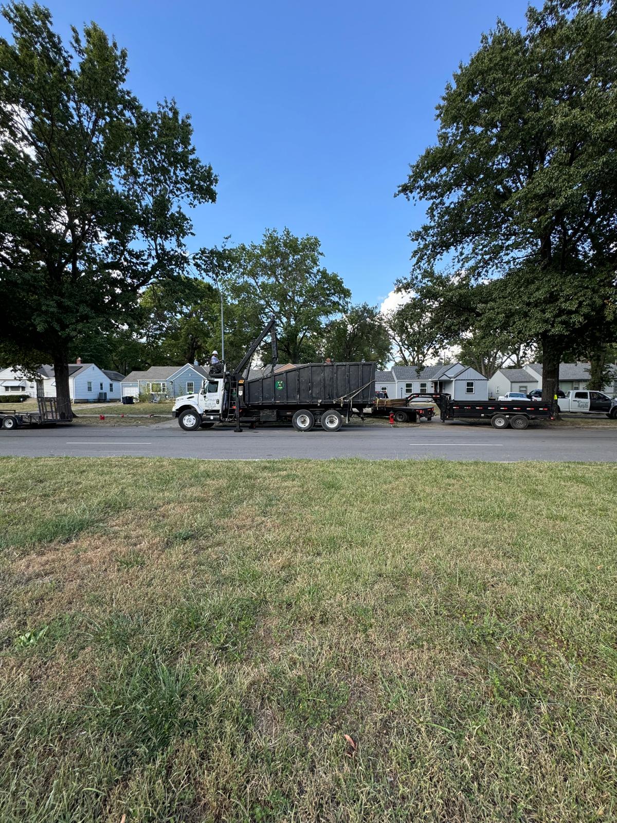 tree trimming oaks