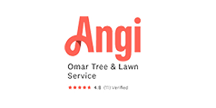 tree-removal-contractor-angi-top-rated-1.png