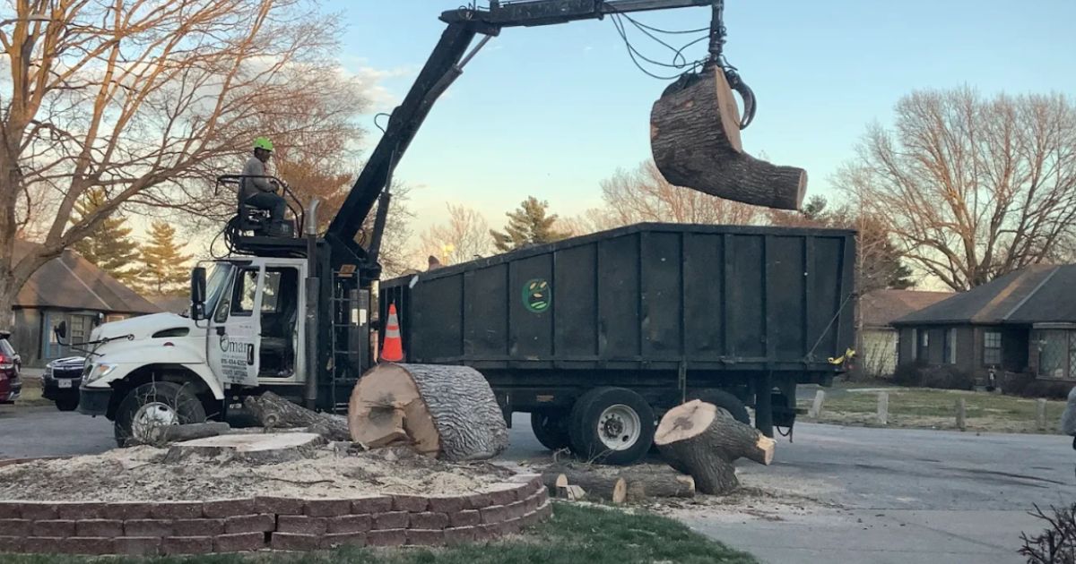 Professional Average Cost to Remove a Fallen Tree by Omar Tree Services LLC using a crane truck to lift large tree logs in a residential neighborhood