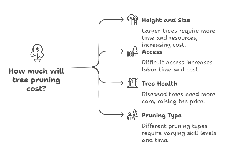 What’s the Real Cost