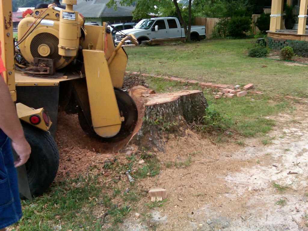 A stump grinder machine removing a large tree stump in a yard, illustrating stump grinder service cost and professional tree removal work.