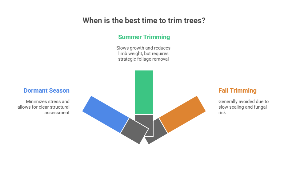 When Trimming Is Most Effective 